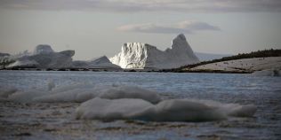 Descoperire remarcabila: Antarctica a fost acoperita de o padure